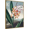 Amanti Art Temple of Flora VII by Dr. robert j. Thornton Framed Canvas Wall Art - 3 of 4