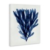 Stupell Industries Nautical Blue Sea Kelp Canvas Art - 2 of 4