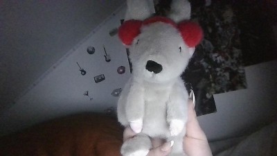 Guest review image 1 of 1, zoom in