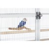 Prevue Pet Products 9" Y-Branch Coffea Wood Bird Perch 1050 - 2 of 4