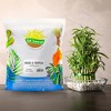 Soil Sunrise Tropical House Plant Potting Mix for All Types of Indoor House Plants - 2 of 4