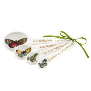 Portmeirion Botanic Garden Harmony Set of 4 Measuring Spoons - 1 of 4