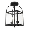 Livex Lighting Milford 2 - Light Pendant in  Black - 4 of 4