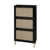 SKRAN Modern Rattan Shoe Storage Cabinet: 3-Door Freestanding Organizer - Rattan & Metal Frame with Anti-Slip Pads - Double Shelf Design - 4 of 4