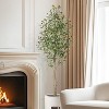 Artificial Olive Tree 5FT Tall Faux Olive Tree Indoor Fake Silk Plant with Realistic Trunk, Leaves, Fruits and White Planter, 2 Pack - 2 of 4