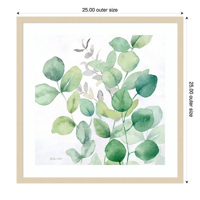 Eucalyptus Leaves I Framed Graphic Art Print in Natural Wood