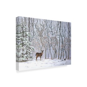 Trademark Fine Art -D. Rusty Rust 'Big Buck     ' Canvas Art - 1 of 3