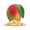 READYWISE Gluten Free Vegan Simple Kitchen Mango Freeze-Dried Fruit - 6.3oz/6ct - image 4 of 4