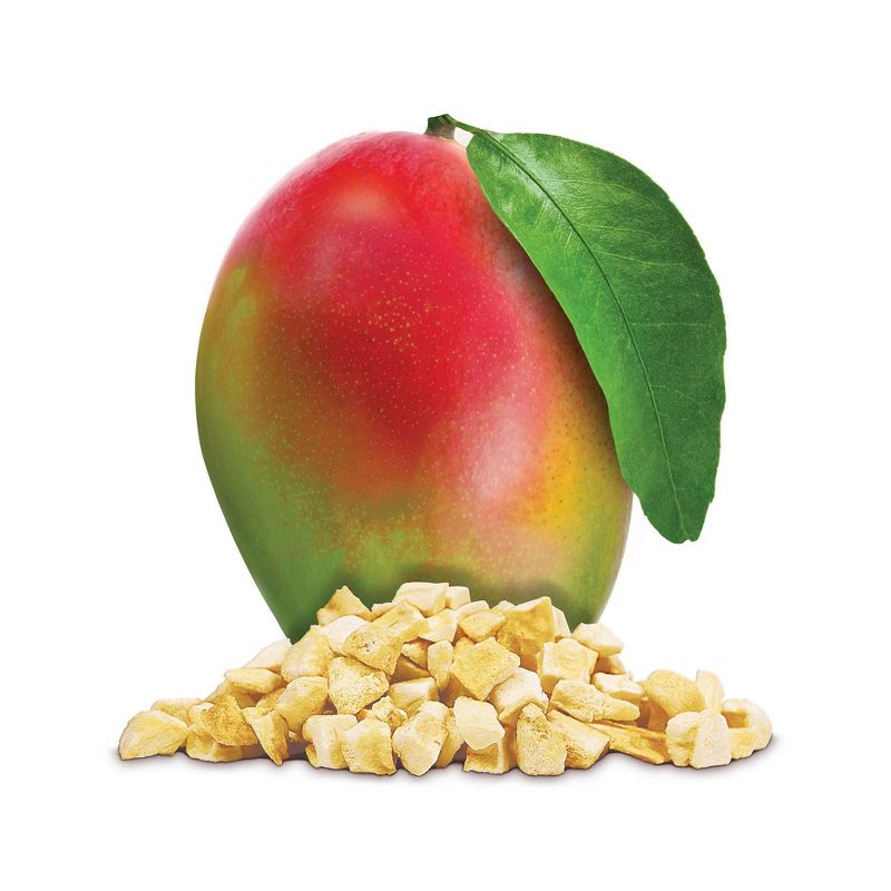 READYWISE Gluten Free Vegan Simple Kitchen Mango Freeze-Dried Fruit - 6.3oz/6ct, 5 of 7