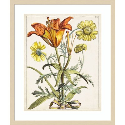 Dutch Florals V Svelte Natural Wood Framed Botanical Print