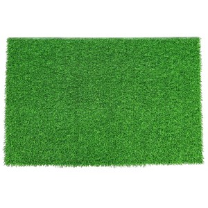 Paladin Mats - Signature Collection Mats - Indoor - 1 of 4