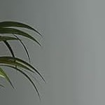 black cabinet body (original wood color drawer)