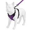 Voyager Step-In Lock Adjustable Dog & Cat Harness and 5ft Leash Combo - 4 of 4