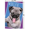 Trends International Keith Kimberlin - Kittens - Pug - Selfie Unframed Wall Poster Prints - 3 of 4