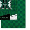 NCAA Hawaii Rainbow Warriors Diagonal Ghost Checker Double Sided Blanket - 2 of 3