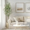 Garvee 5/6/7FT Olive Trees Artificial Indoor, Olive Tree Plants, Faux Olive Tree with Realistic Trunk, Leaves, Fruits for Home Office Decor - 3 of 4