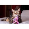Multipet Unicorn with Catnip Cat Toy - Assorted Color 3"- One Toy - 2 of 2