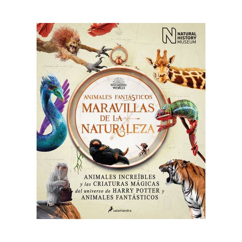 Animales Fantásticos Maravillas de la Naturaleza / Fantastic Animals, Wonders of Nature - by  The National History Museum (Hardcover), 1 of 2