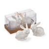 tagltd Easter Bunny Rabbit White Easter Salt & Pepper Shaker Set - 2 of 2