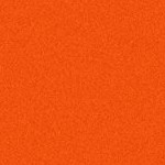cleveland browns