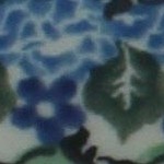 sapphire fields