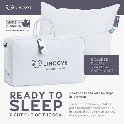 Lincove Cloud White Down Luxury Sleeping Pillow with Cotton Shell