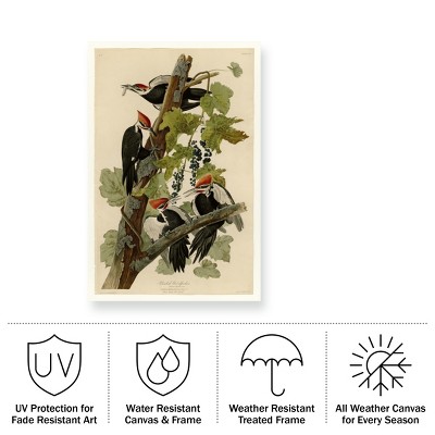 Large Tan and Green Canvas Print of Pileated Woodpeckers
