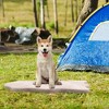 Ridstar Orthopedic Dog Bed with Memory Foam Support For Large Dogs-Beige - 4 of 4