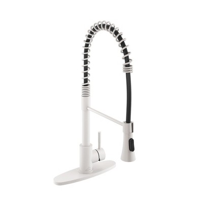 CASAINC Single-Handle Spring Standard Kitchen Faucet with Dual Function Sprayhead and Deckplate Included in Brushed Nickel