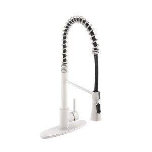CASAINC Single-Handle Spring Standard Kitchen Faucet with Dual Function Sprayhead and Deckplate Included in Brushed Nickel - 1 of 1