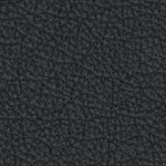 new england patriots