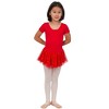 Girls Leotard Dress Danz N Motion 293 Madeline Sparkle Skirt Short SLeeve - 4 of 4