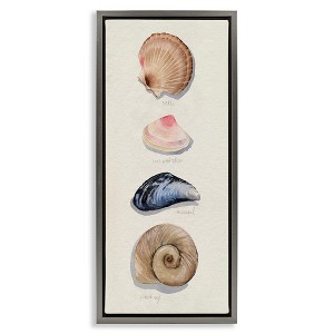Stupell Industries Traditional Nautical Sea Shells, 15" x 31" - 1 of 4