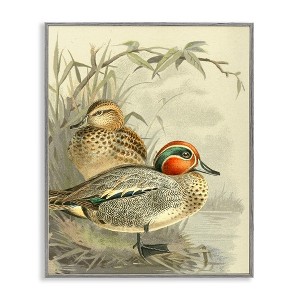 Stupell Industries Ducks with Pond Botanicals Black Framed Giclee Art - 1 of 4