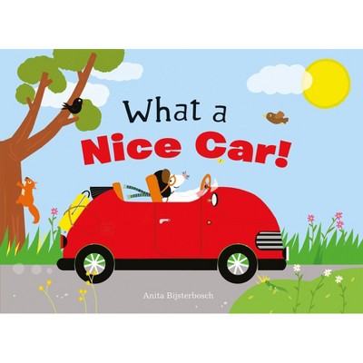 What a Nice Car! - by  Anita Bijsterbosch (Hardcover)