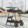 VYNXARIA REX BAR CART - 2 of 4