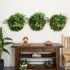 Nearly Natural 20-in UV Resistant Artificial Queensland Rainforest Living Wall Art Panel in Gold Aluminum Frame (Indoor/Outdoor) - 4 of 4