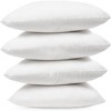 Covers&All Throw Pillow Inserts, Durable Soft 65 GSM Non-Woven Fabric with 15D Silicon Fiber Filling - 2 of 4