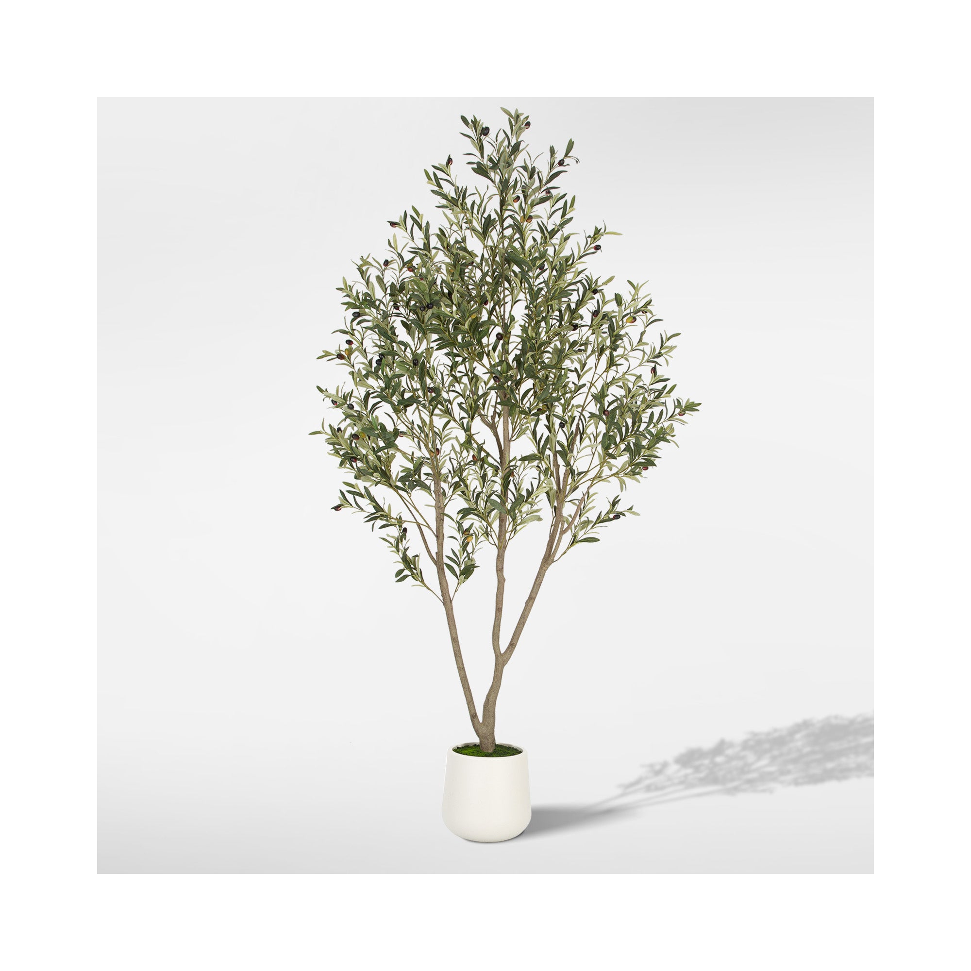 Romswi Olive Faux Tree, 7ft Tall Artificial Olive Tree with White Tall Pot, with Natural Leaves Lifelike Fruits for Home Office Decor Indoor