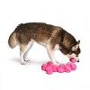Midlee Pink Happy Birthday Dog Tennis Balls - 2 of 4