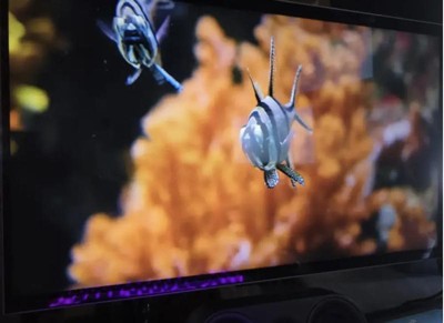 Guest review image 2 of 2, zoom in