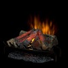 Dimplex 28-in Premium Electric Fireplace Log Set - Dlg-1058 : Target