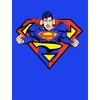 Superman Hero Inside Logo Boy's Royal Blue T-shirt - 2 of 3