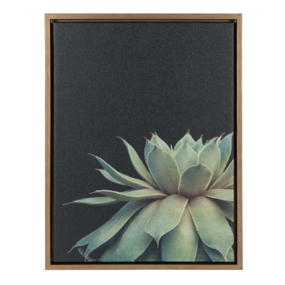 18" x 24" Sylvie Succulent Framed Canvas by F2 Images Gold - Kate and Laurel