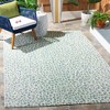 Courtyard CY8505 UV & Stain Resistant Non-Shedding Power Loomed Indoor/Outdoor Rugs - Safavieh - 2 of 4