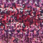 purple/multi