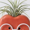 Live Apple Bottom Plant Genius Red - Good Little Garden™ - 3 of 3