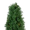 Northlight 4' Pre-Lit Artificial Boxwood Cone Topiary Tree with Round Pot, Clear Lights - 3 of 4