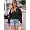 Women's Casual 3/4 Sleeve Henley V-Neck Button Up Pleated Back Blouses Swiss Dot Blouse Tops T-Shirts - 2 of 4