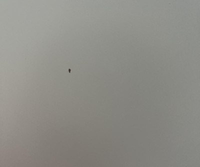 Guest review image 1 of 3, zoom in